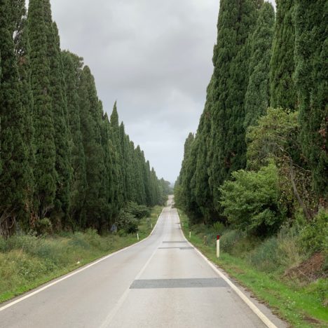 Il tappo di sughero, questo sconosciuto