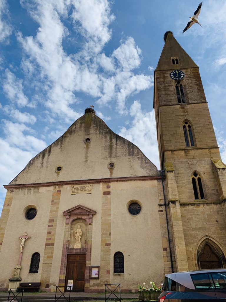 Il duomo di Eguisheim con cicogna in volo