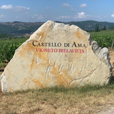 La leggenda del cavaliere di Montrachet