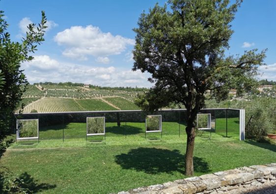 Sulle vigne punti di vista