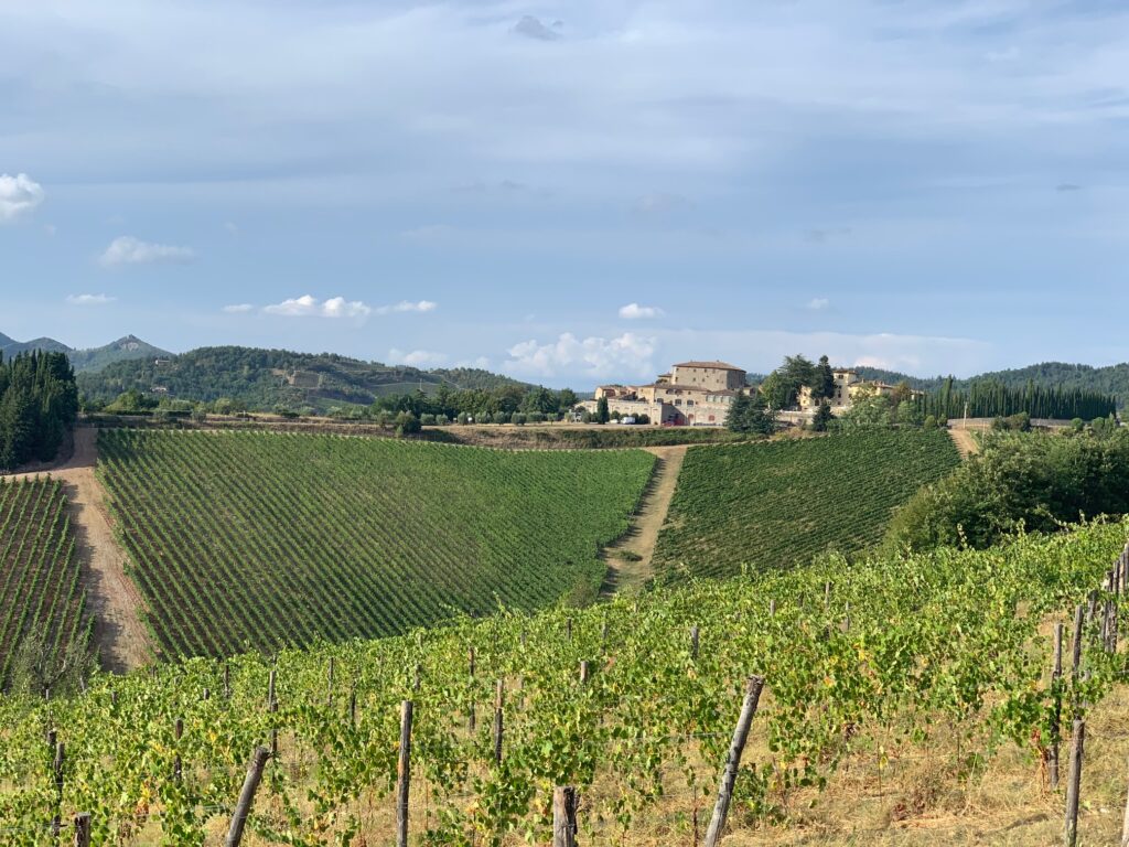 Panorama di Rocca di Castagnoli