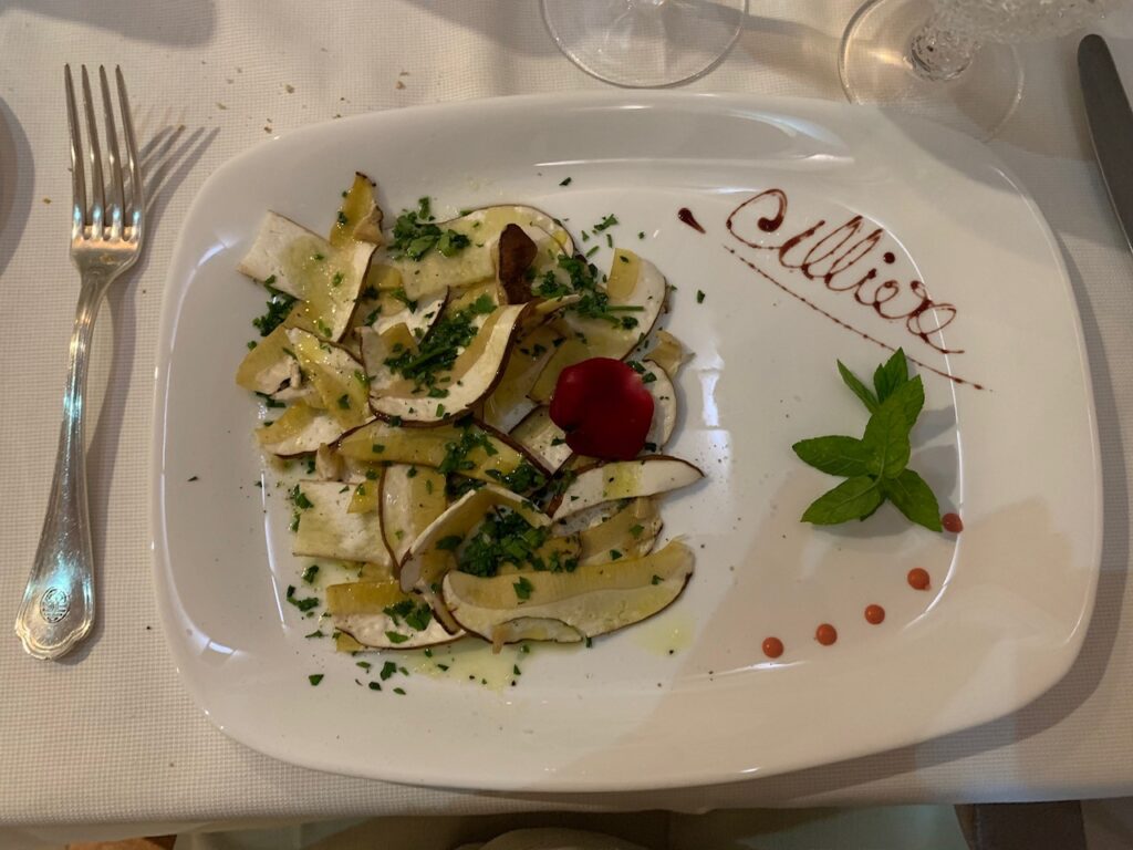 Insalata di porcini crudi