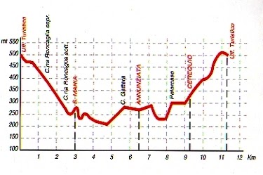 altimetria sentiero numero 7.