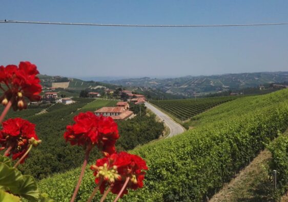 Panorama da Montelupo