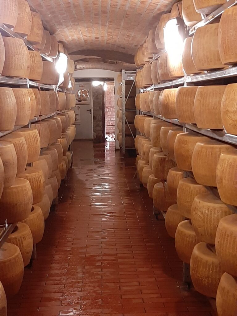 Sala affinamento Parmigiano.