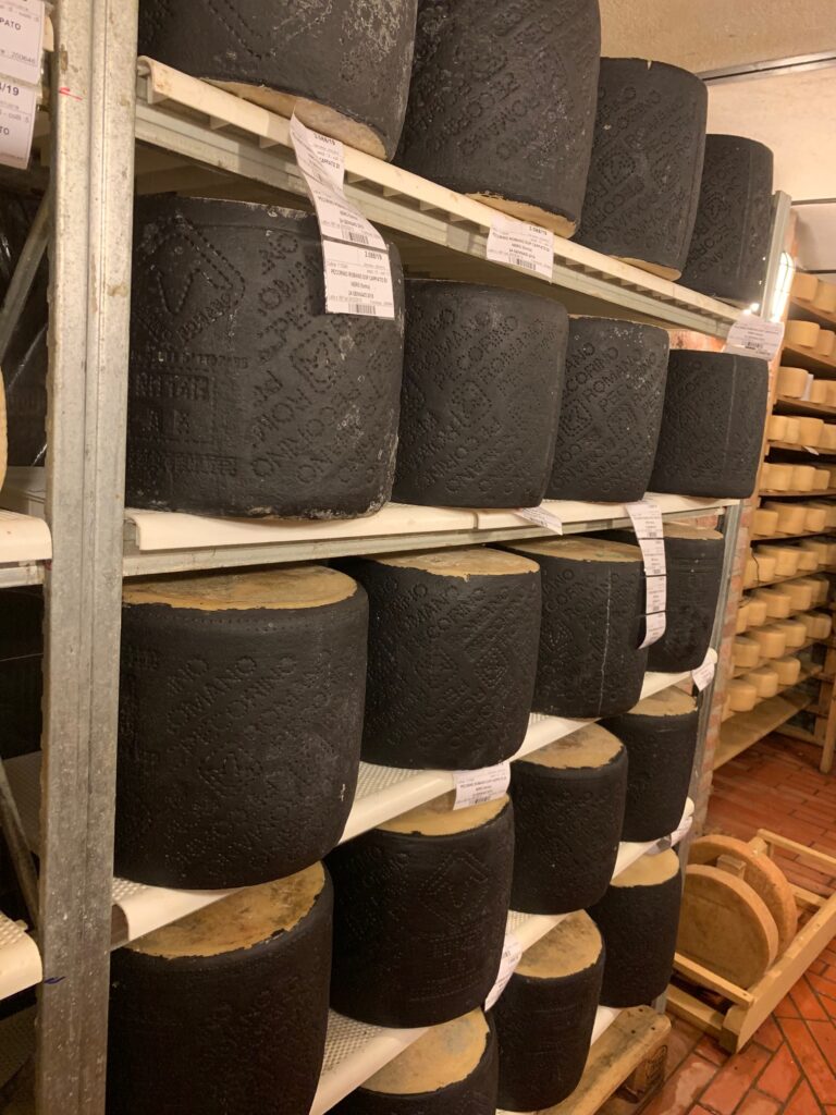 Sala affinamento pecorino romano.