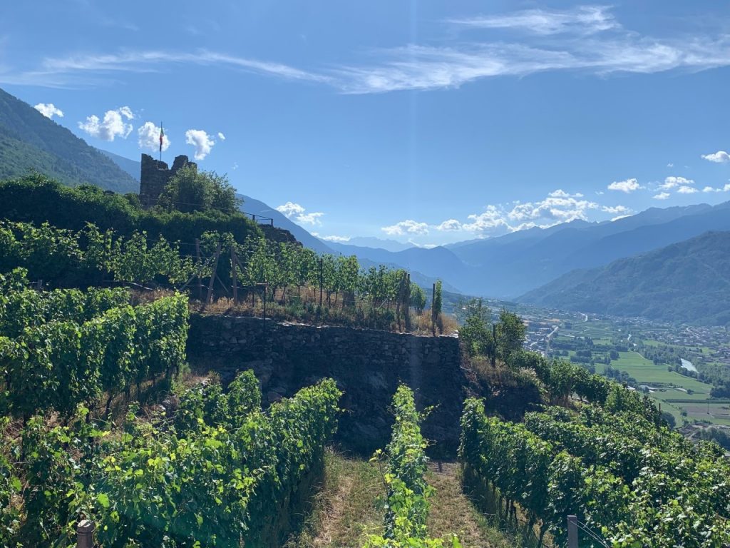 Panorama dal Castello