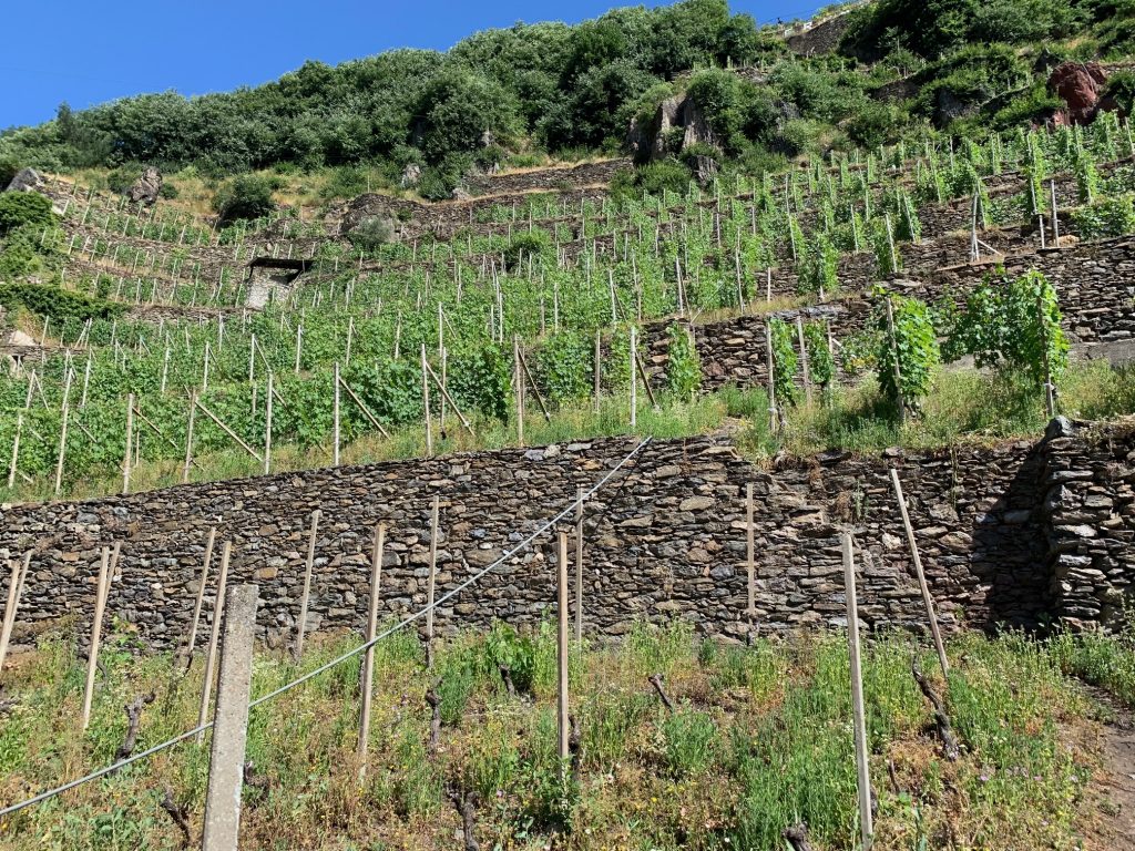 Terrazzamenti sopra Arpepe