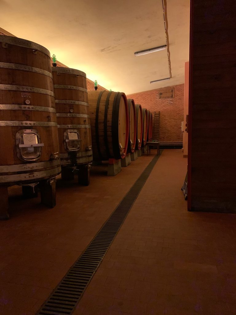 Cantina vinificazione