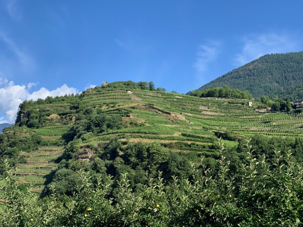 Vista dei muretti 