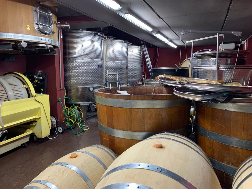 Cantina di vinificazione