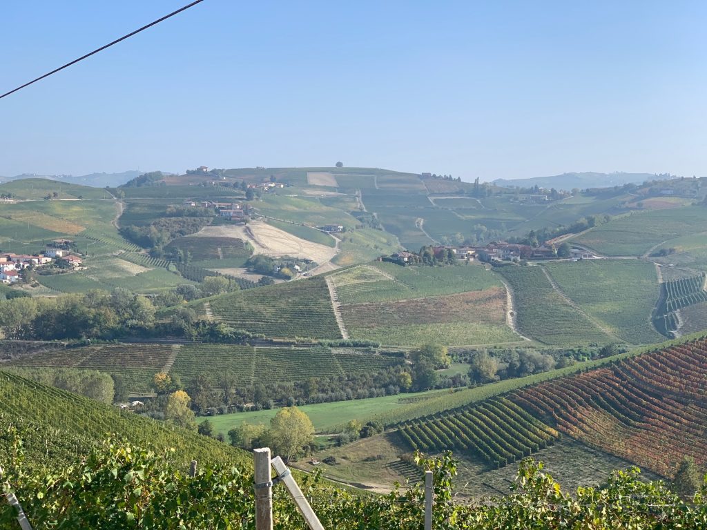 Cru Barbaresco