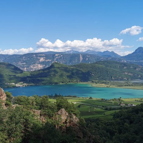 Il vino sulle sponde del lago di Caldaro