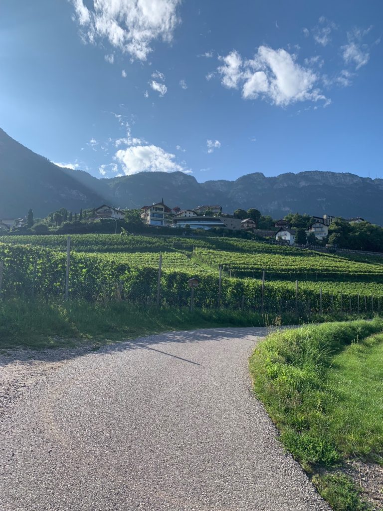 Vista paese dalle vigne